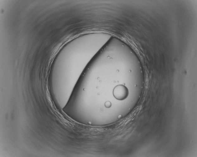 X0000084520145200702231143