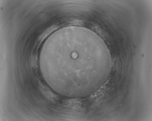 X0000084520146200702231143