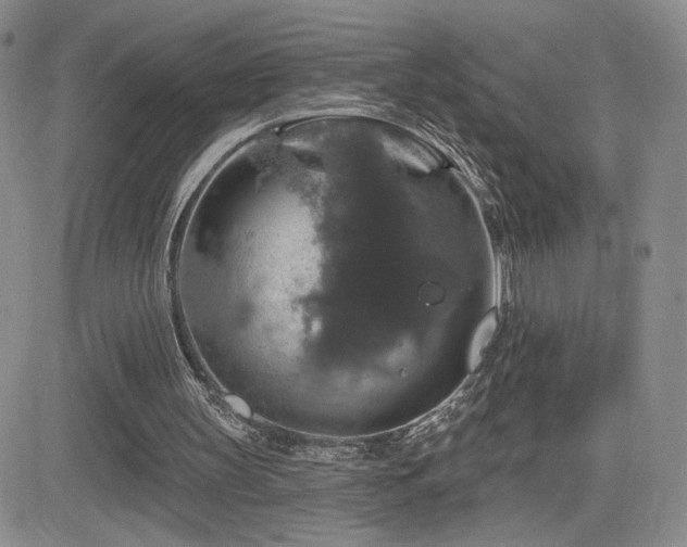 X0000084520147200702231143