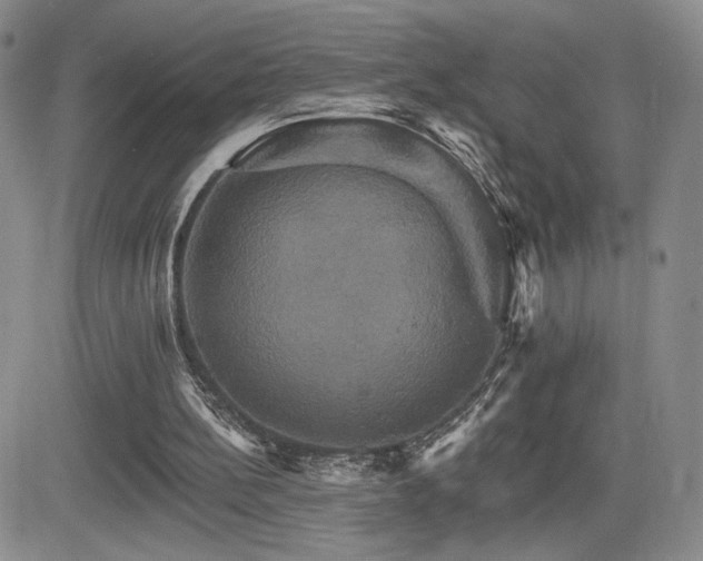 X0000084520148200702231143