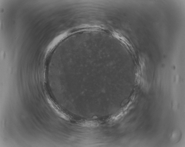 X0000084520149200702231143