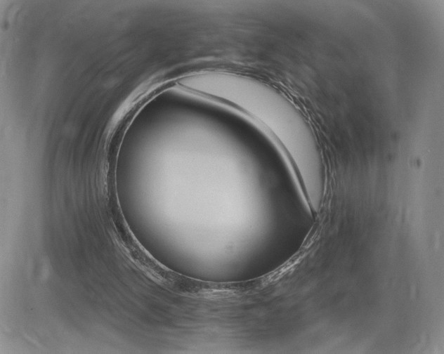 X0000084520150200702231143