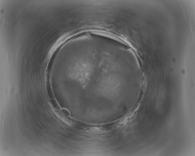 X0000084520151200702231143