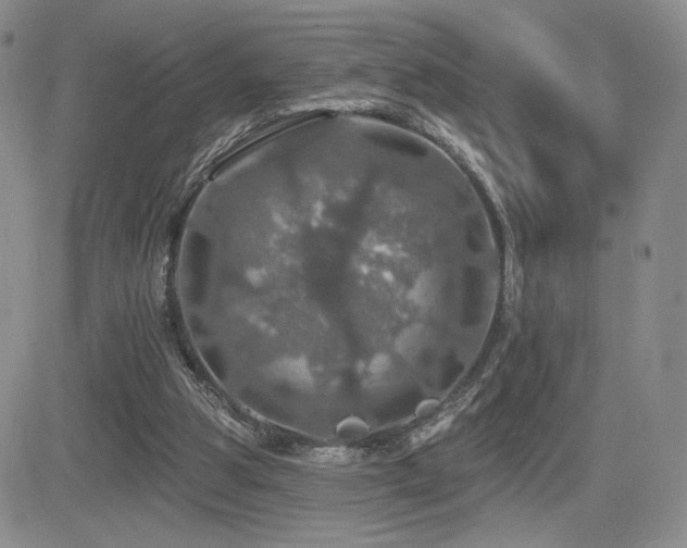 X0000084520153200702231143