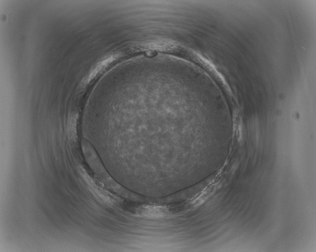 X0000084520154200702231143