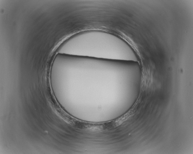 X0000084520155200702231143