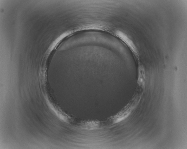 X0000084520156200702231143