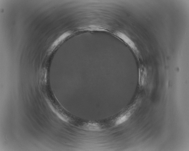 X0000084520157200702231143