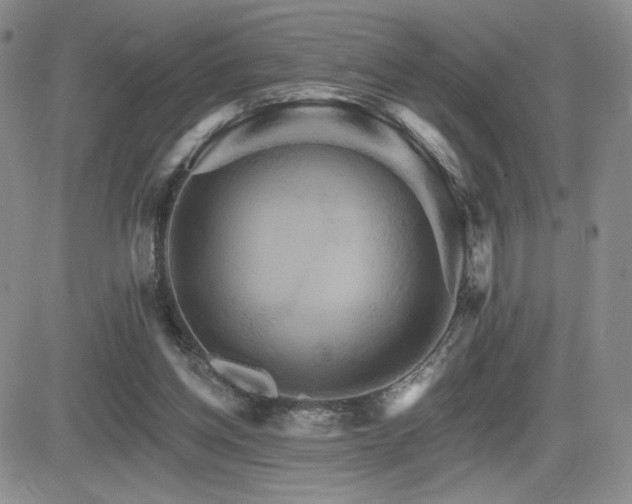 X0000084520158200702231143