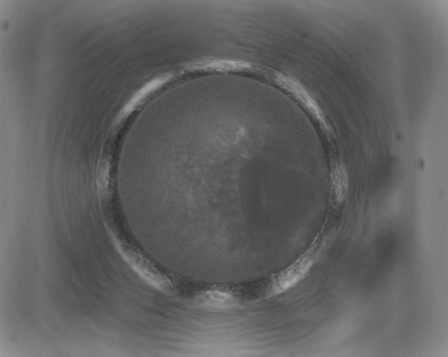 X0000084520159200702231144