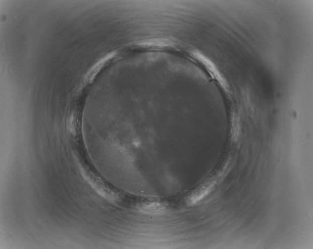 X0000084520161200702231144