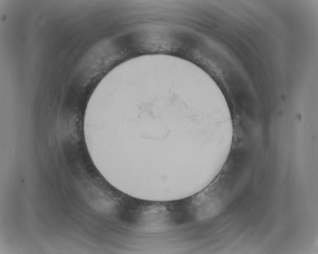 X0000084520162200702231144