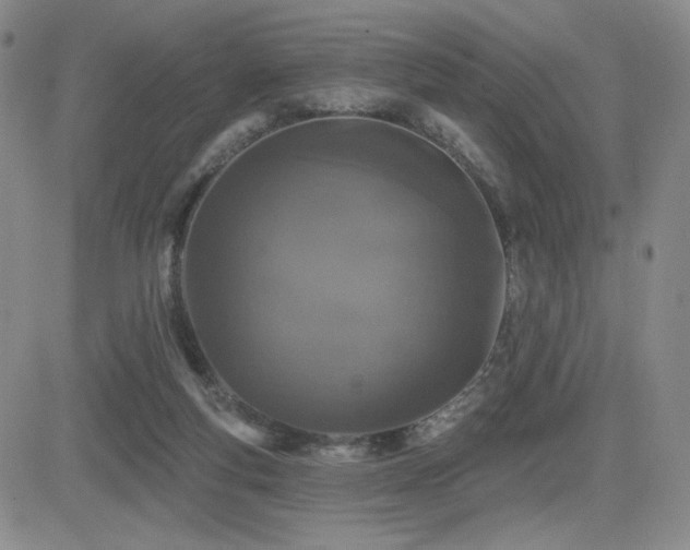 X0000084520163200702231144