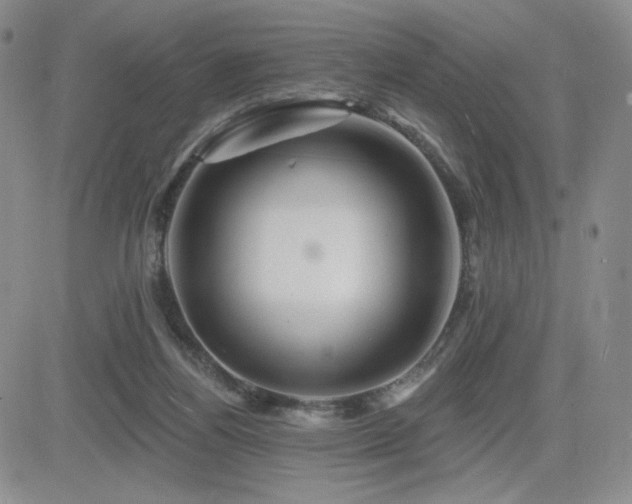 X0000084520164200702231144