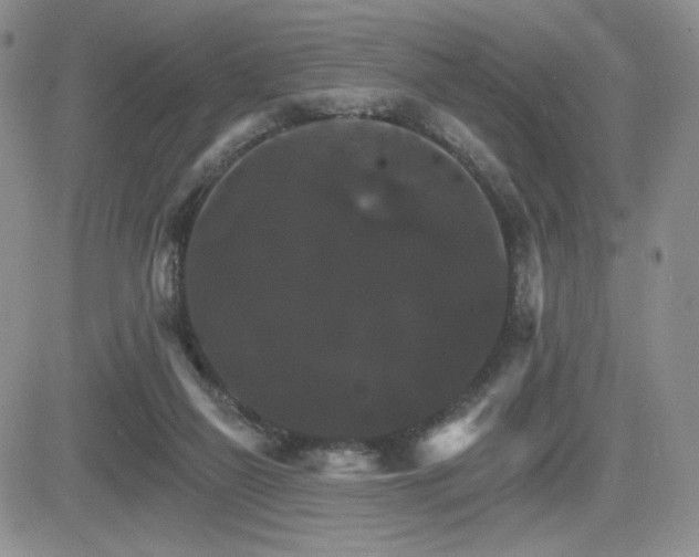 X0000084520165200702231144