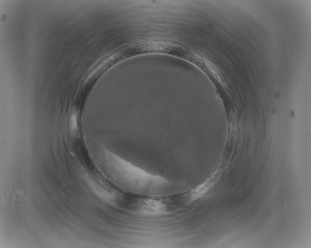 X0000084520166200702231144