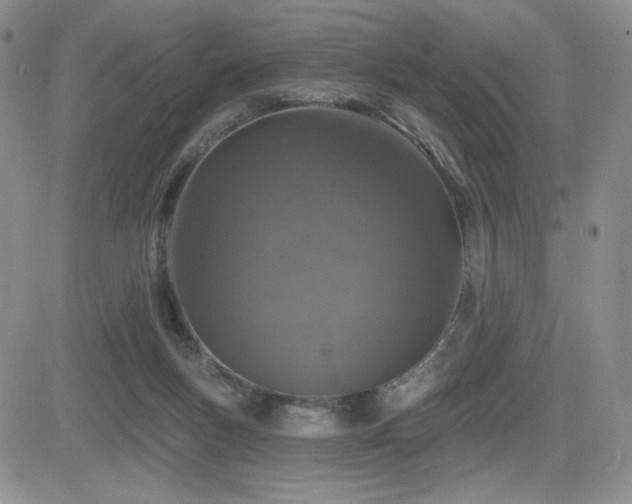 X0000084520167200702231144