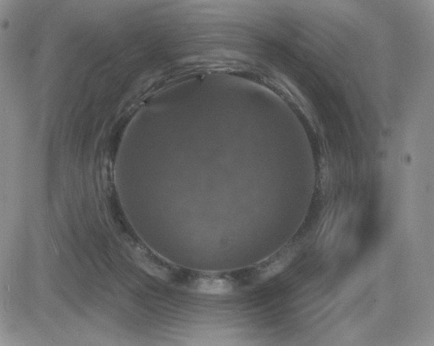 X0000084520169200702231144