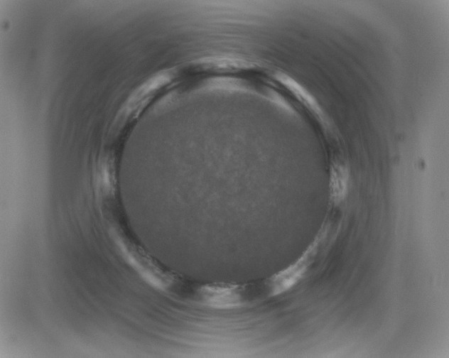 X0000084520170200702231144