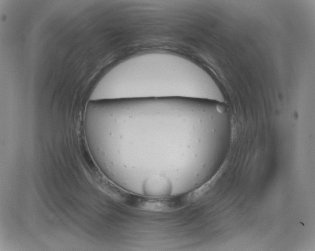 X0000084520171200702231144