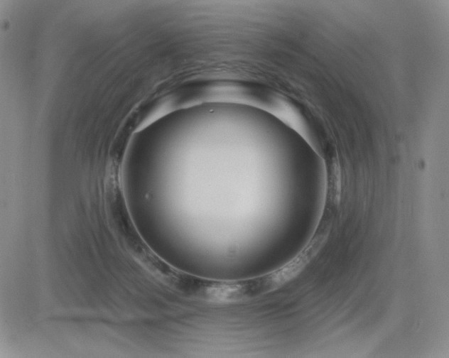 X0000084520172200702231144