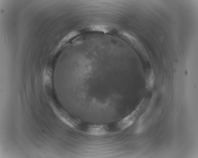 X0000084520175200702231144