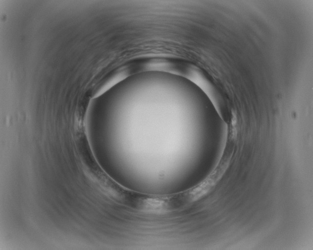 X0000084520176200702231144