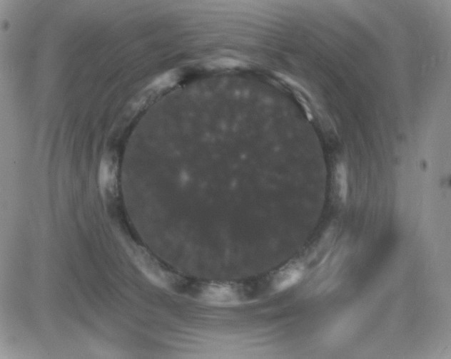 X0000084520177200702231144