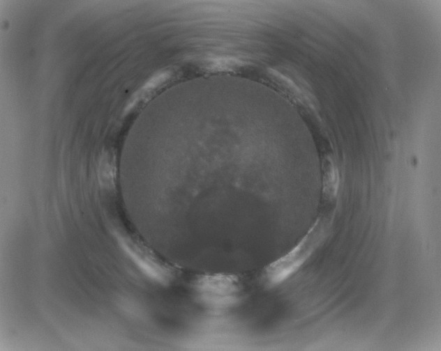 X0000084520179200702231144