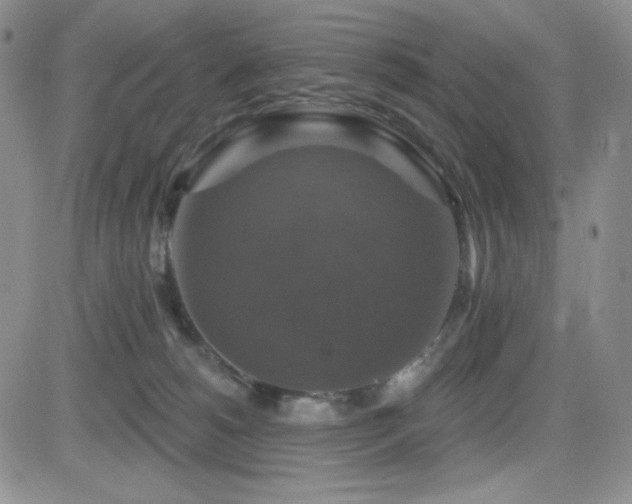 X0000084520180200702231144