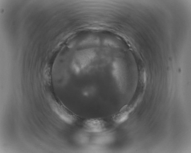 X0000084520181200702231144