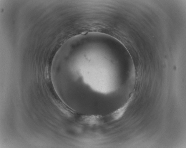 X0000084520182200702231144