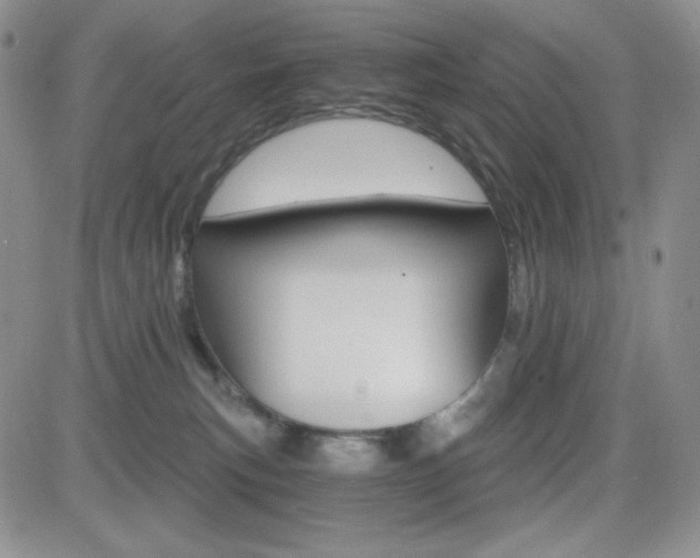 X0000084520183200702231144