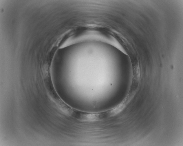 X0000084520184200702231144