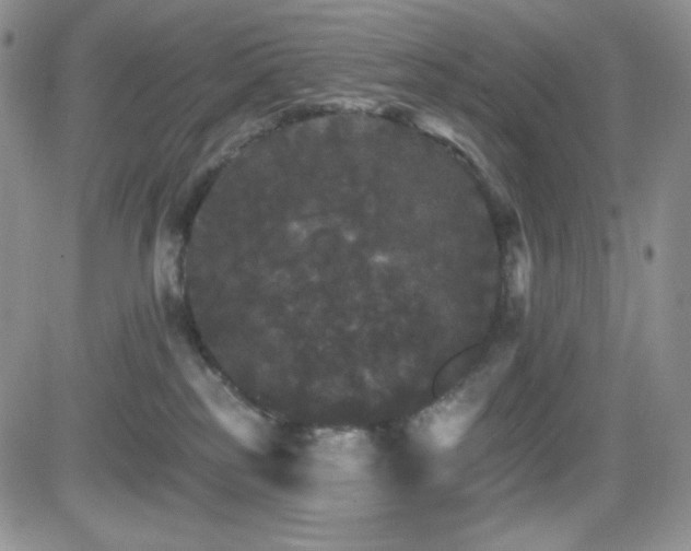 X0000084520185200702231144