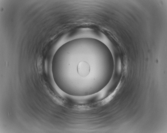 X0000084520186200702231144