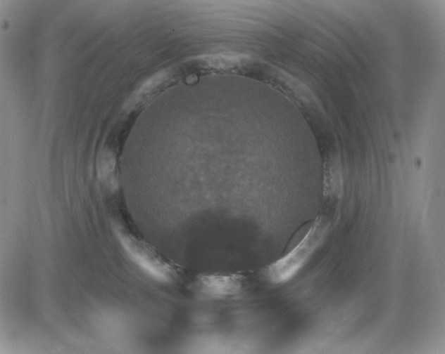 X0000084520187200702231144