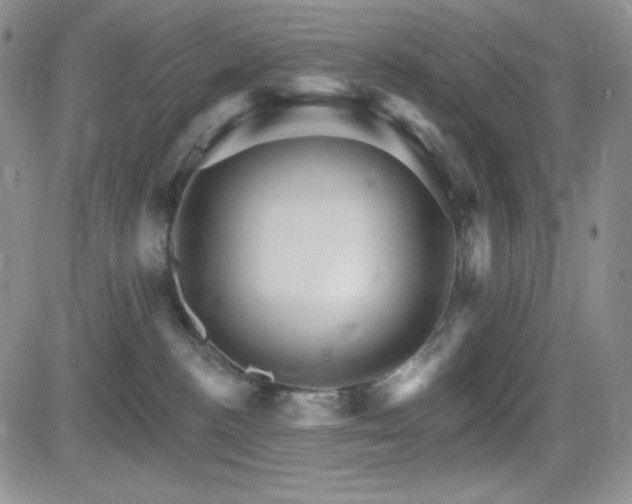 X0000084520188200702231144