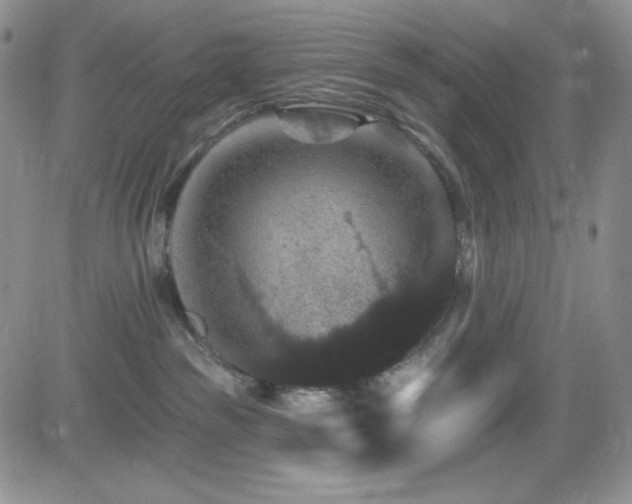 X0000084520189200702231144