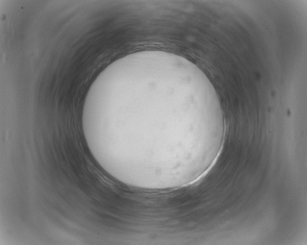 X0000084520190200702231144