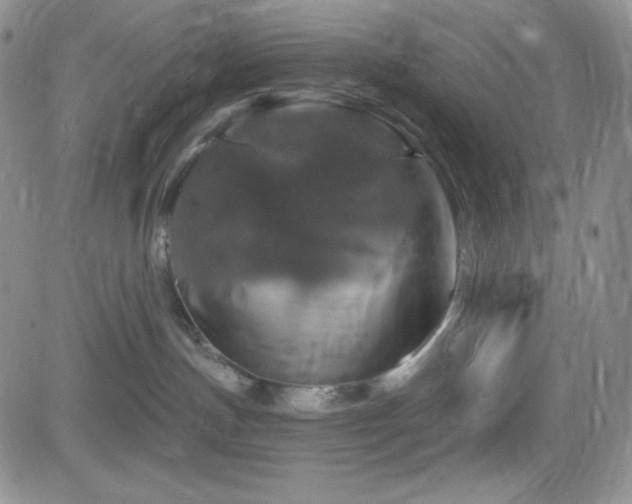 X0000084520191200702231144