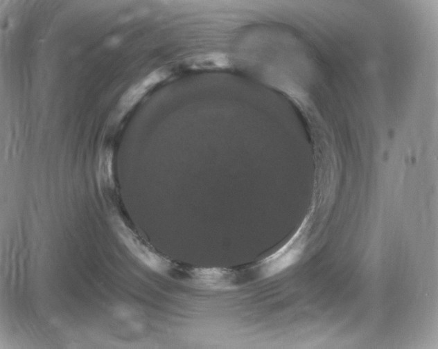 X0000084520192200702231144