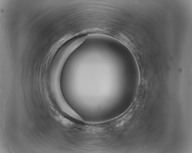 X0000084520193200702231143