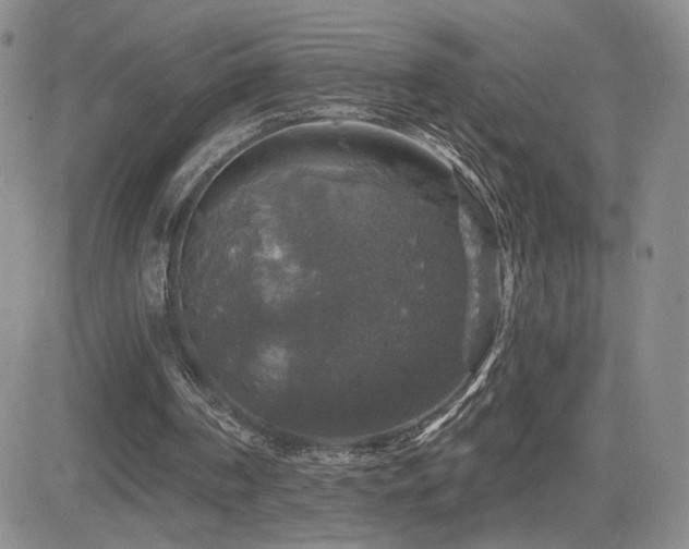 X0000084520194200702231143