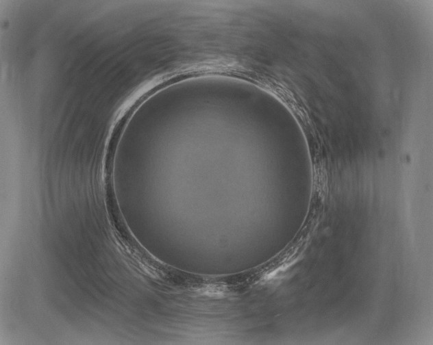 X0000084520196200702231143