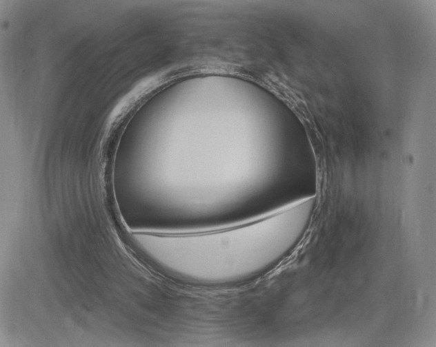 X0000084520197200702231143