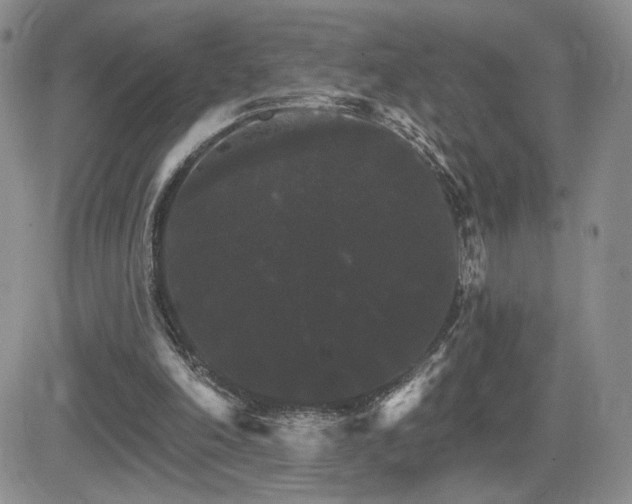 X0000084520198200702231143