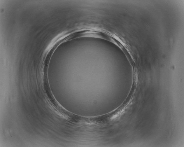 X0000084520199200702231143