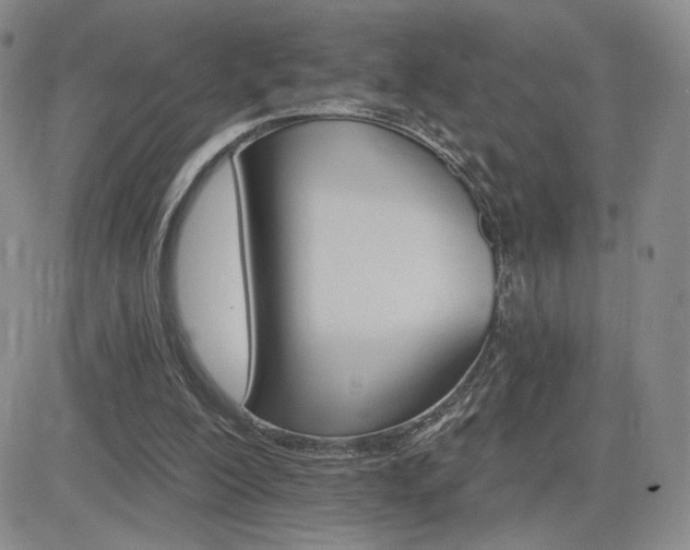 X0000084520200200702231143