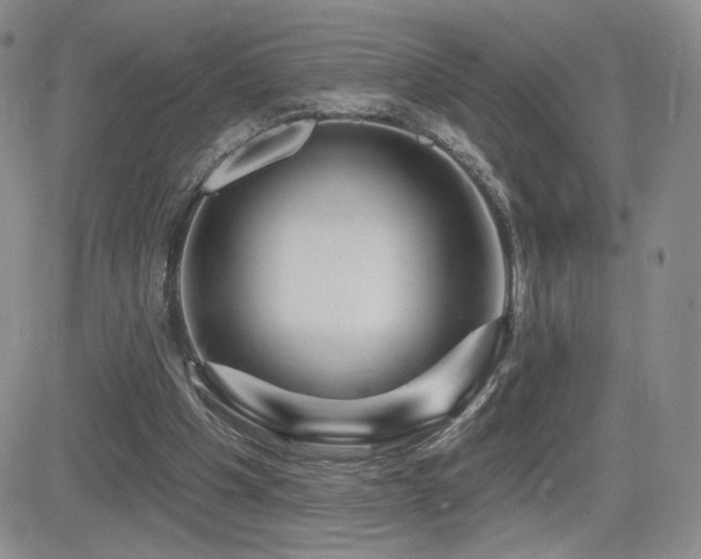 X0000084520201200702231143